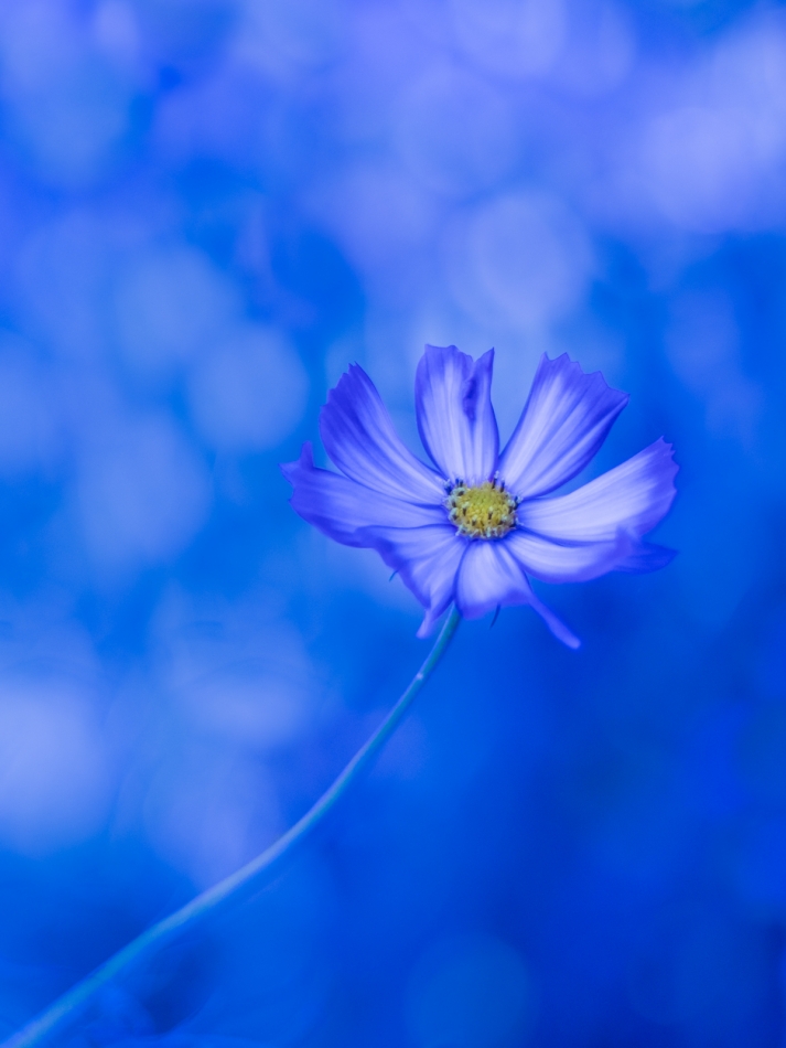 annakam - Ale kosmos. . Zdjęcie 336523