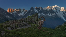 Senior pod Mont Blanc.