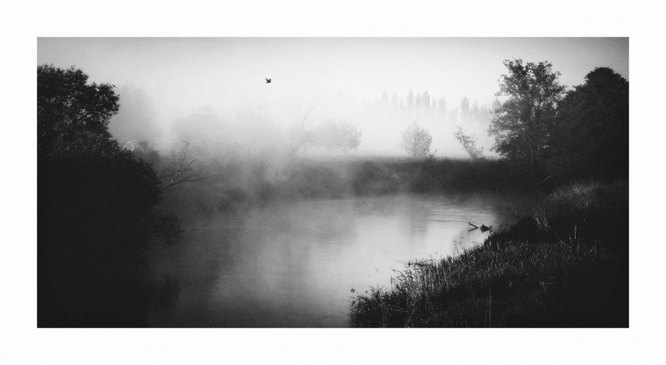 In This River. . Zdjęcie 334893