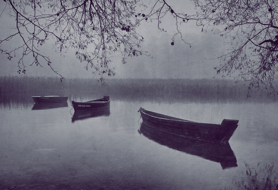 pozytywka - silence. . Zdjęcie 133966
