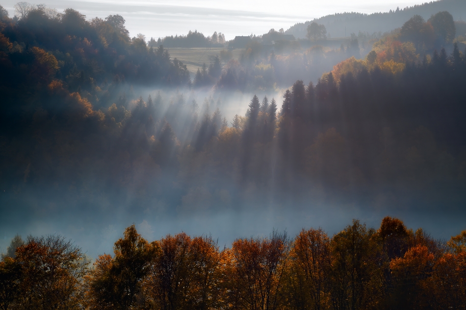 piechnik_s - . . Zdjęcie 324955