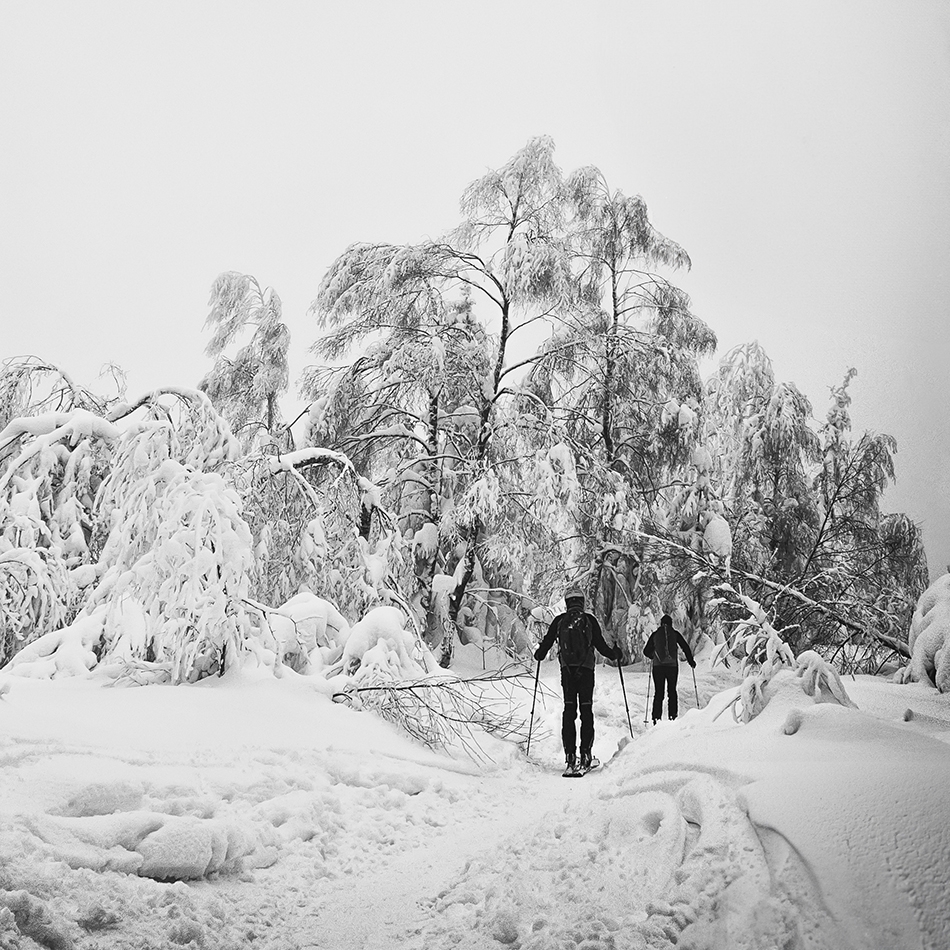 dajustg - .... niegdysiejsze śniegi. Zdjęcie 331505