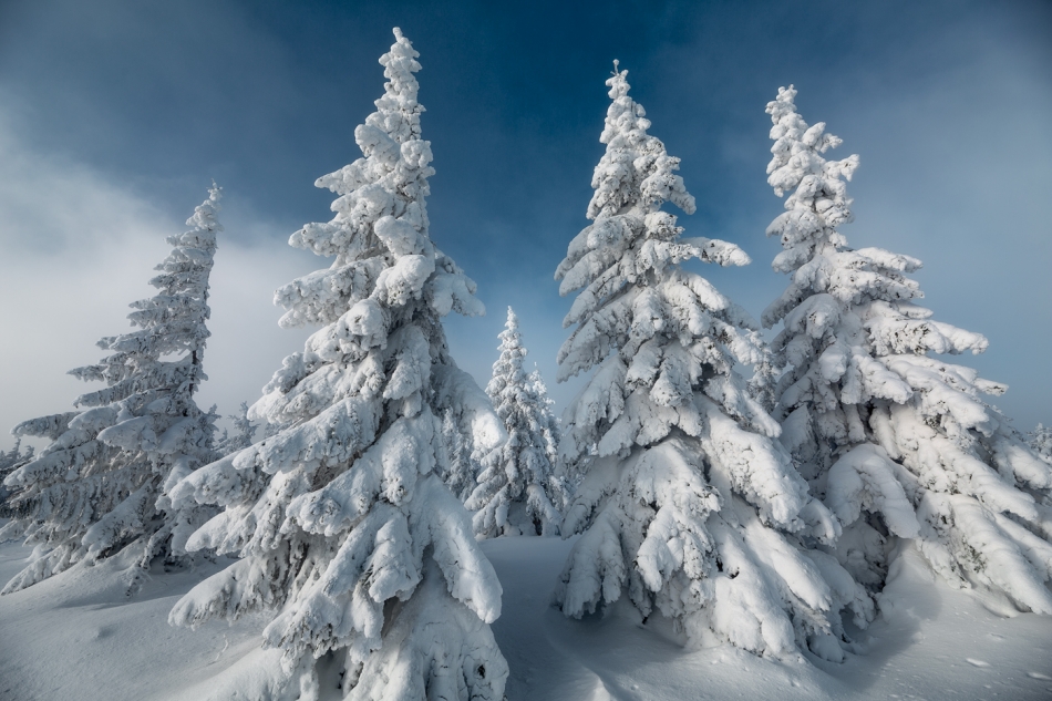bonnieandclyde - Song For a Winters Day.... . Zdjęcie 321209