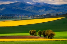 Wiosna