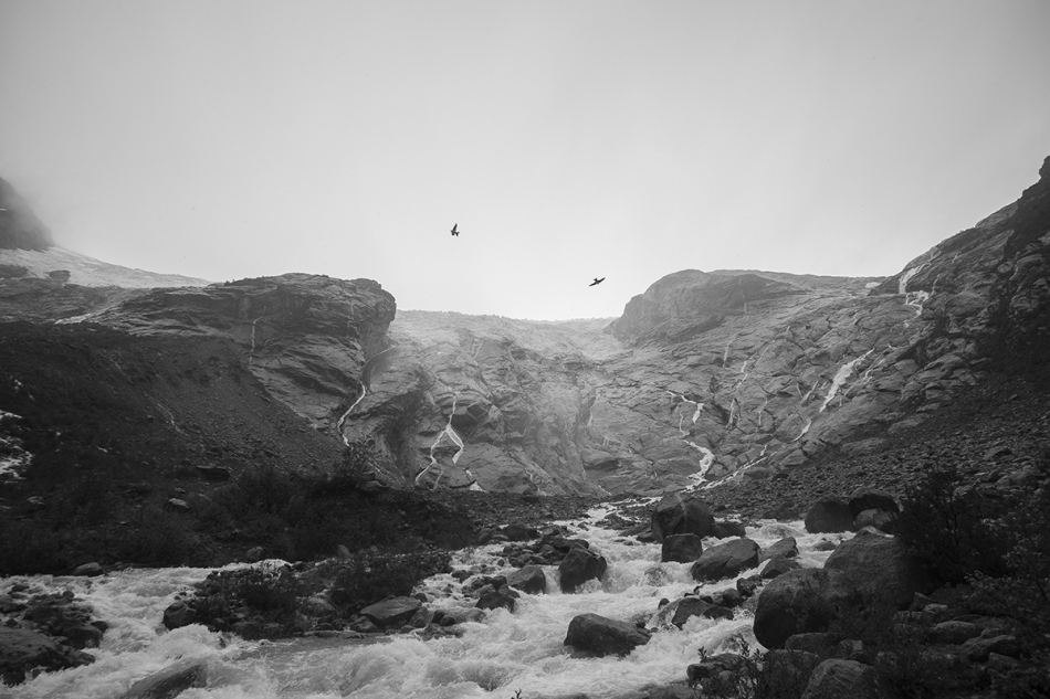 nixon - Jostedalsbreen. Jaskółki tańczą w deszczu u podnóża lodowca Jostedalsbreen. To największy lodowiec w kontynentalnej Europie.. Zdjęcie 326685