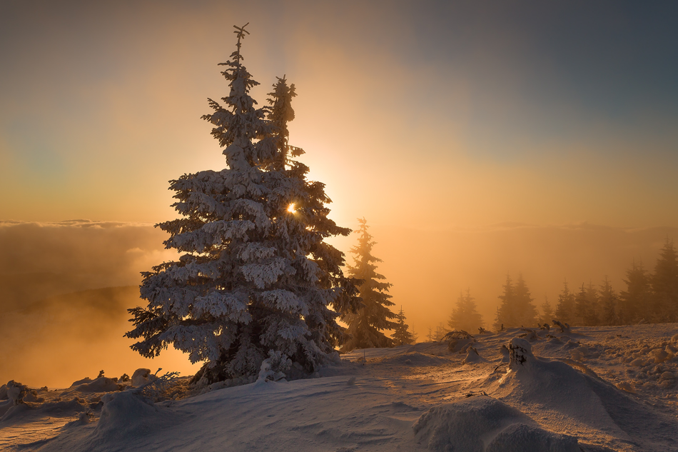 bonnieandclyde - The Stillness of the Morning. . Zdjęcie 138340