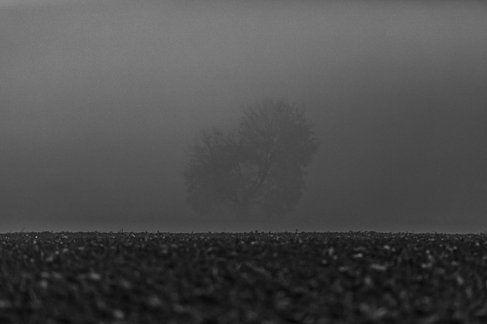 grzeswin - . . Zdjęcie 285124