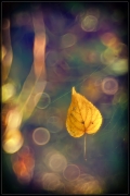 Falling
