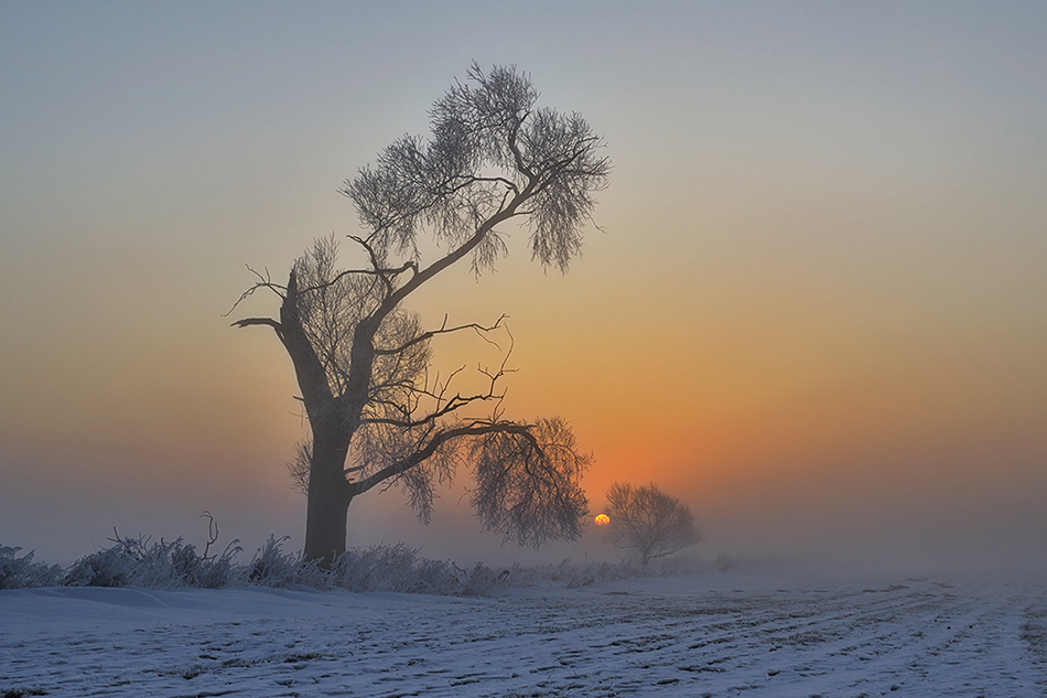 roman_hudzik - Pokolenia. . Zdjęcie 88576