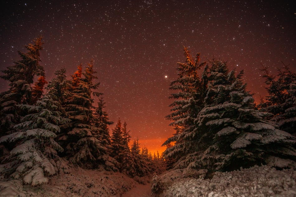 bonnieandclyde - A Winter Nights Tale.... . Zdjęcie 329262