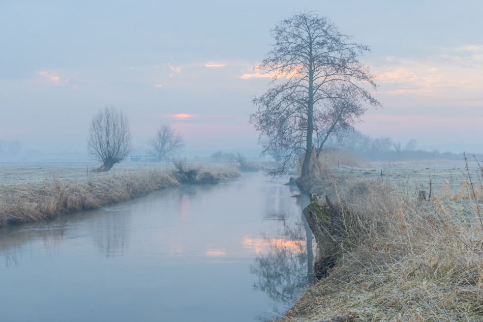 radson_foto - Mroźny poranek nad rzeką Wolbórką. Wolbórz (woj. łódzkie). . Zdjęcie 288648