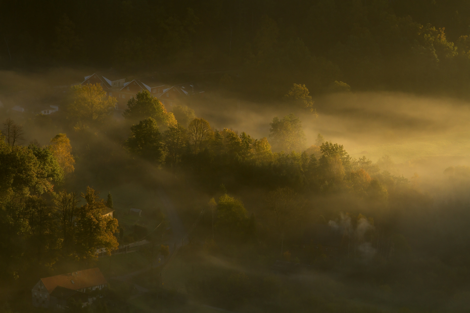 A Very Silent Morning. . Zdjęcie 132735