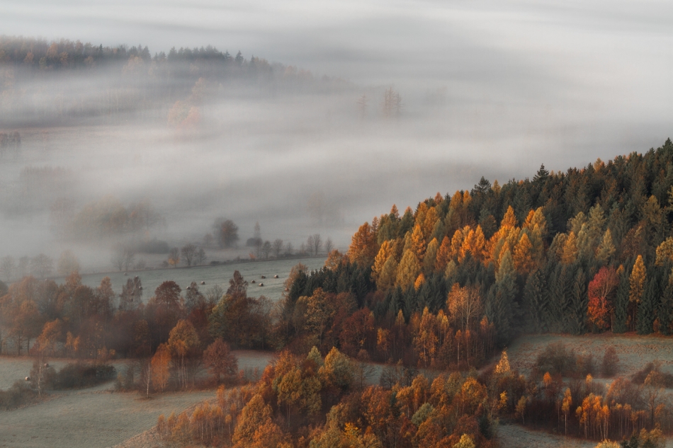 bonnieandclyde - For the Love of Autumn.... . Zdjęcie 324831