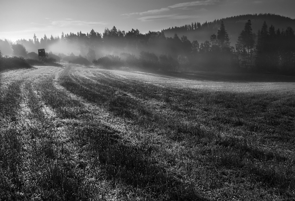 maka133 - Lotnisko. . Zdjęcie 32552