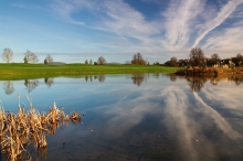 golfastycznie