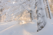 Beskid Żywiecki