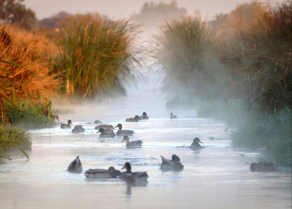 sorella - Jesienna kąpiel. . Zdjęcie 337734