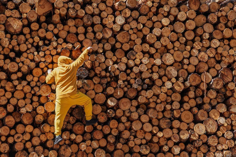 na szczyt. . Zdjęcie 336494