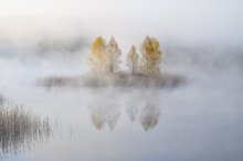 Pierwsza odsłona