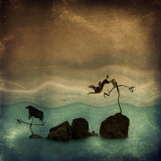 the race