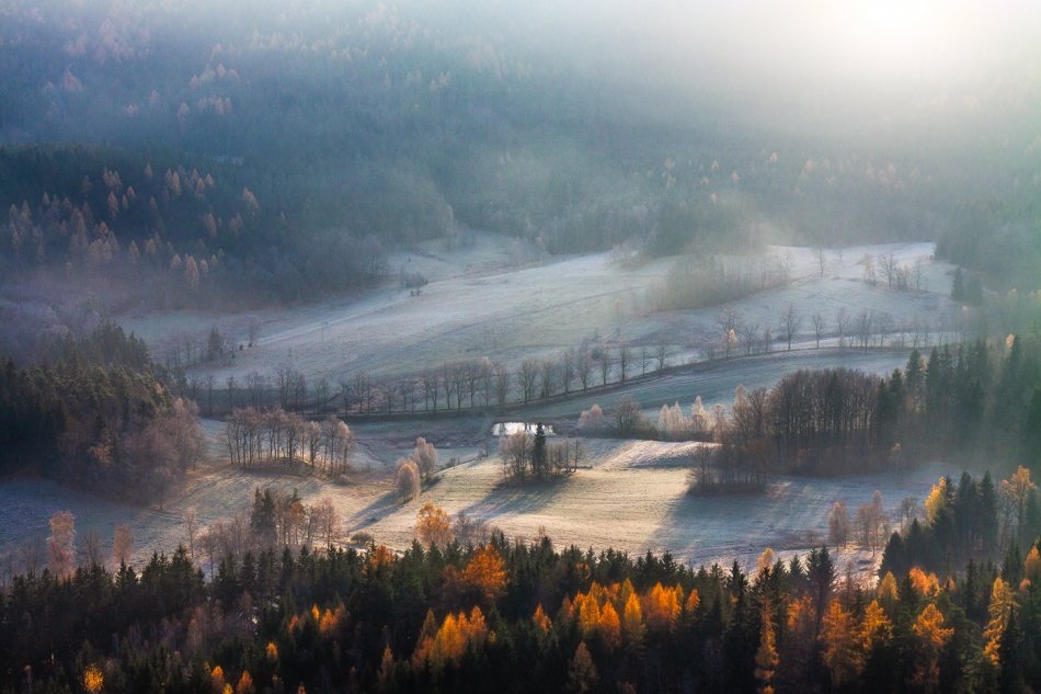 Frosty Morning.... . Zdjęcie 336725