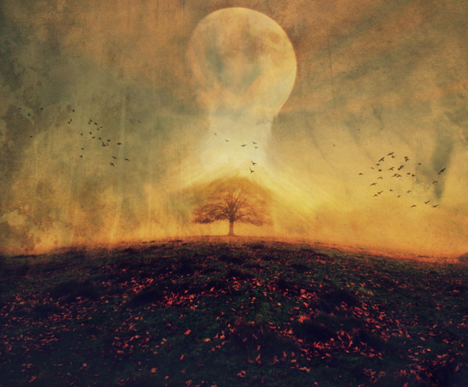 robin74r - A Strange Day.... . Zdjęcie 318854