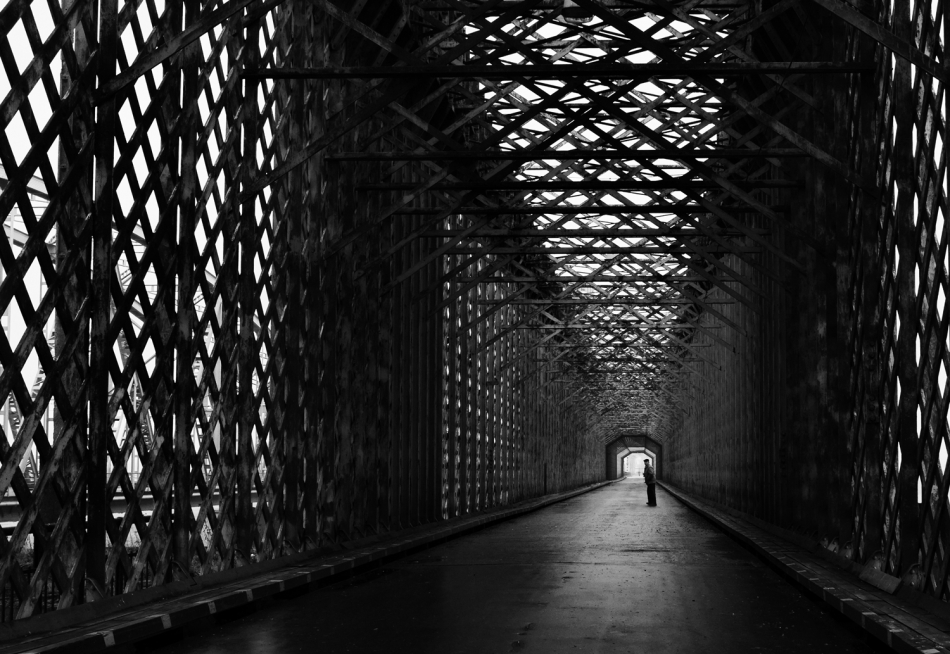 The Bridge. Tczew 2014  / fuji x100. Zdjęcie 336587