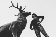 Deer