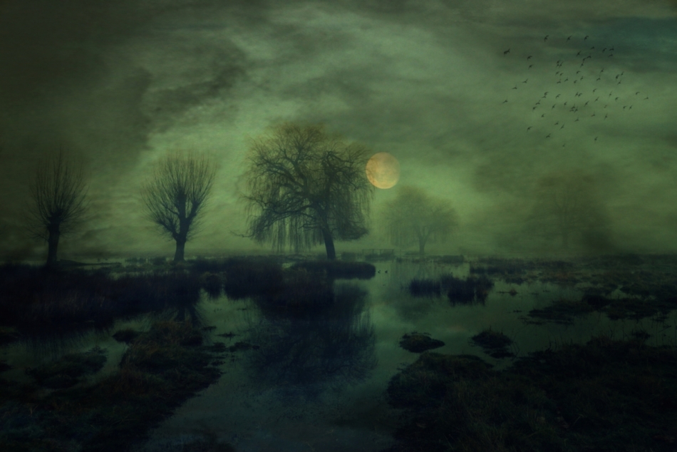 The Lost Morning. . Zdjęcie 333724
