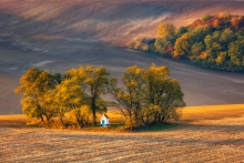 Kapliczka w polu...