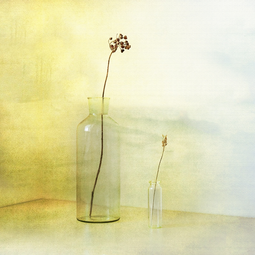 akrims - . . Zdjęcie 214063