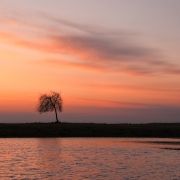nocna cisza