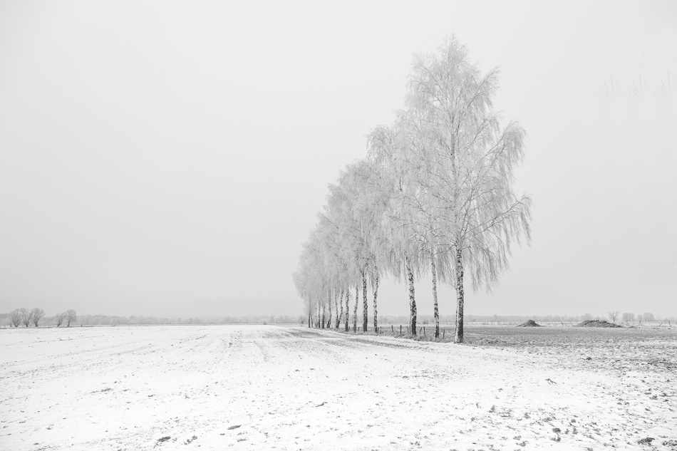 . . Zdjęcie 321151