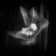 In free fall