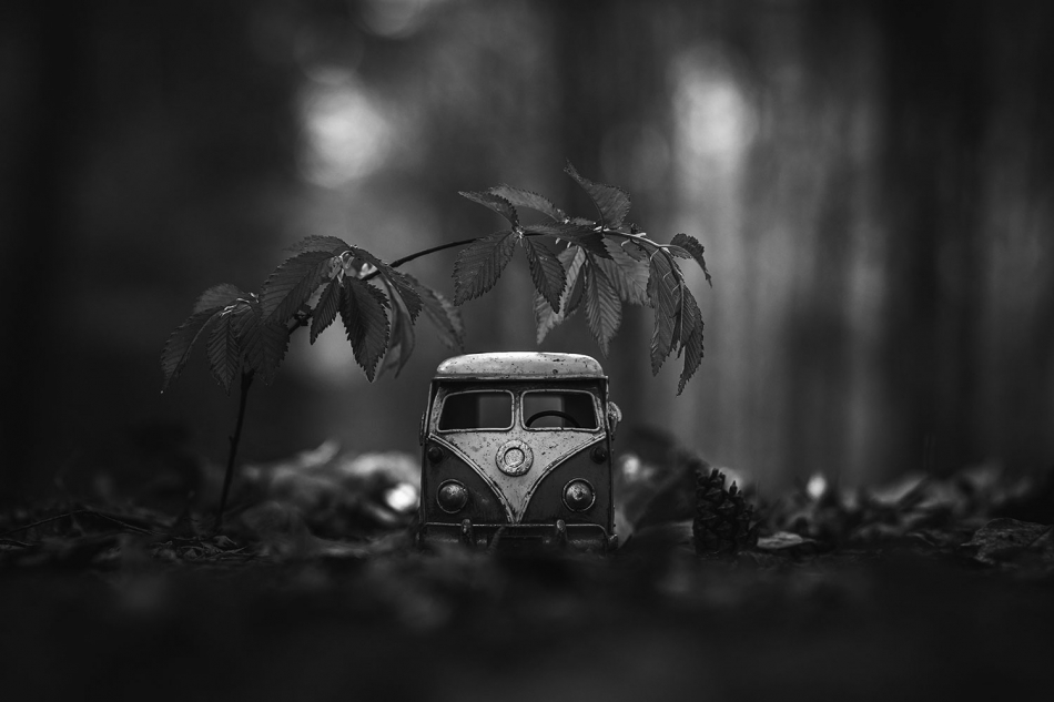 vonbitto - postój. . Zdjęcie 323622