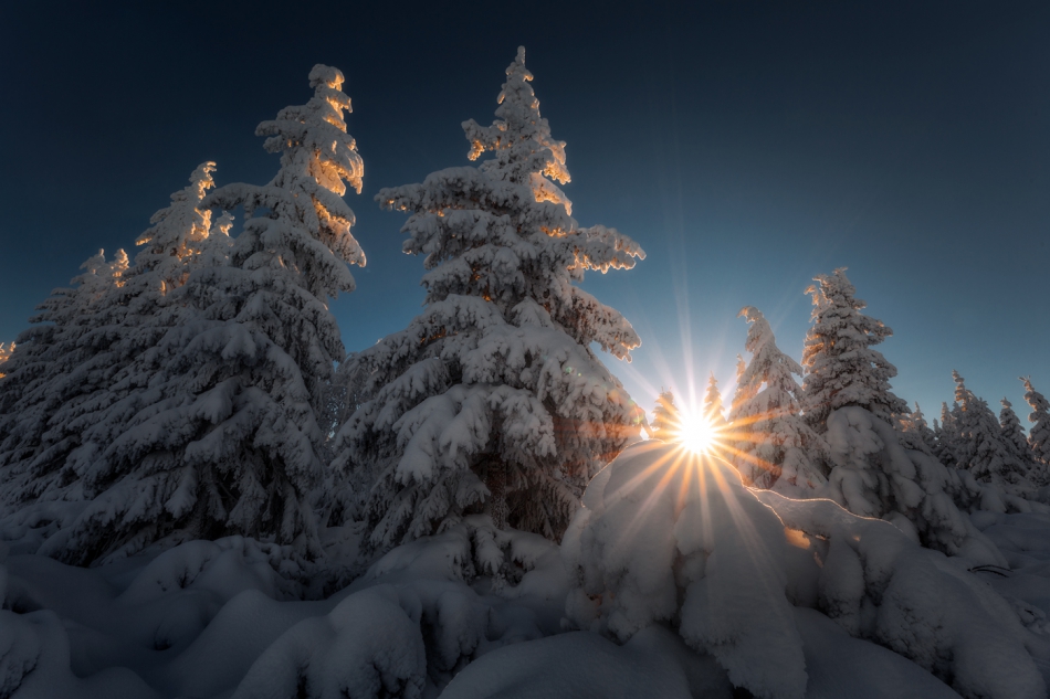 bonnieandclyde - Wintersun.... . Zdjęcie 310908