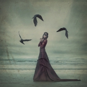 The Birds of Pray