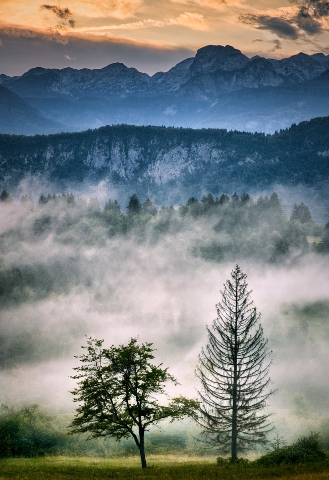 *. . Zdjęcie 336766