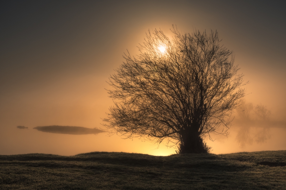 konczako - Woodlamp. PE. Zdjęcie 225552