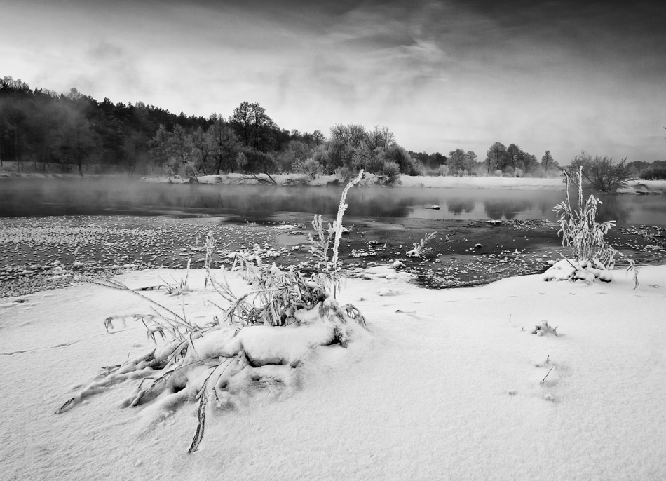 walz - ***. PE+F11 :). Zdjęcie 109452