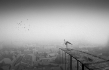 Dream About Flying