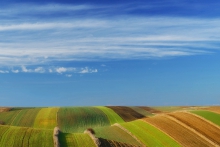 Wiosna za pasem 