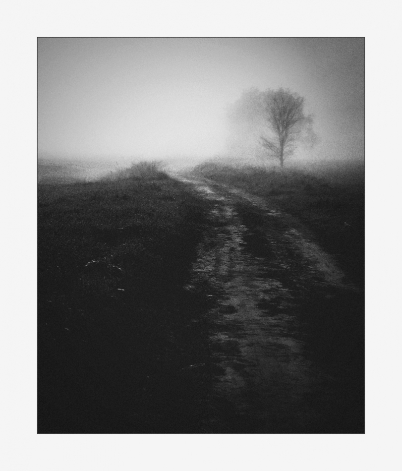 keytoo_ - . . Zdjęcie 332256