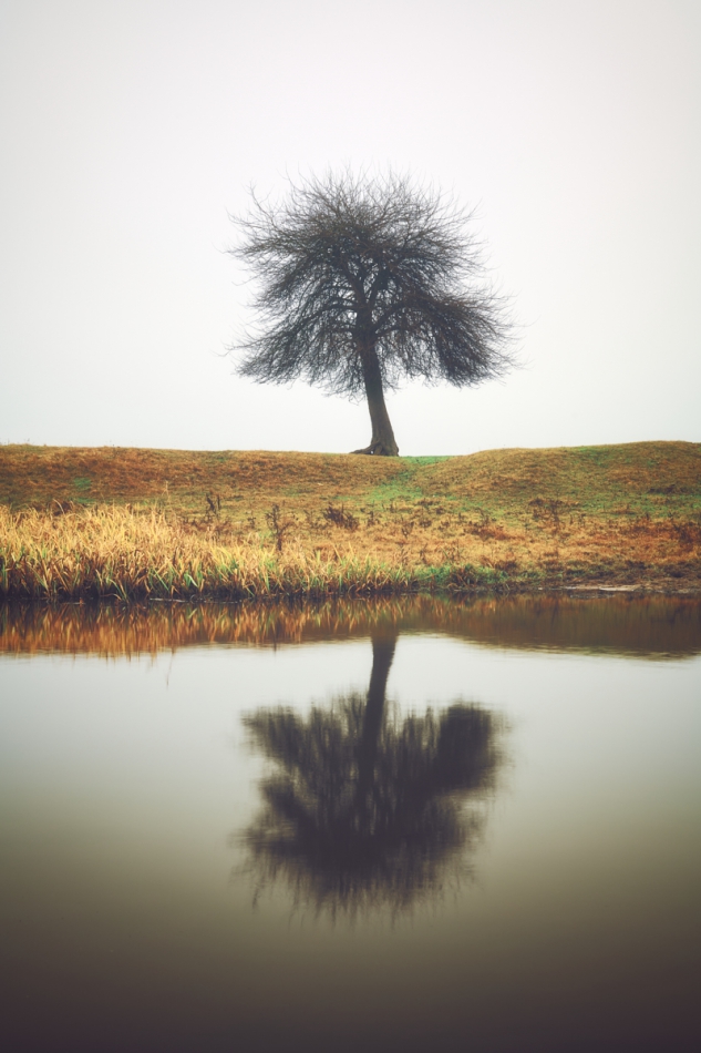 shooter76 - Brak tytułu. . Zdjęcie 295783