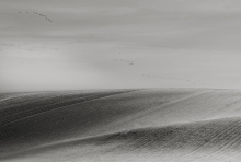 Field