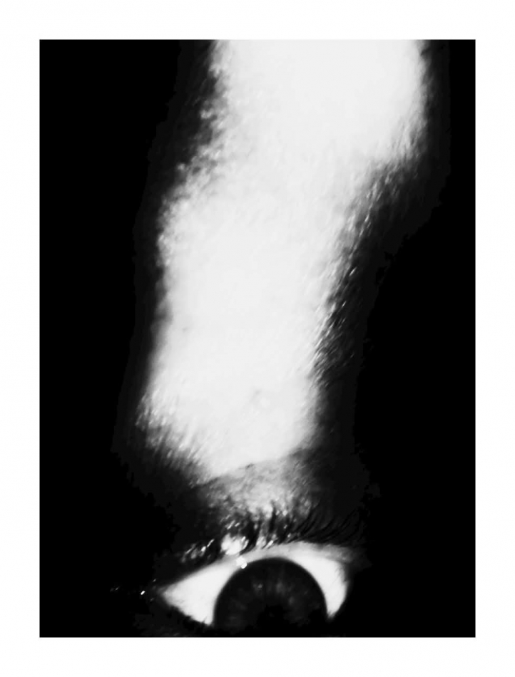 keytoo_ - Worm. . Zdjęcie 331790