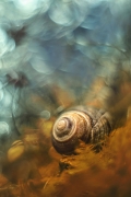 By The Sea
