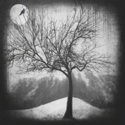 My silent winter...