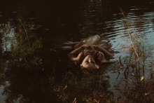 Ophelia