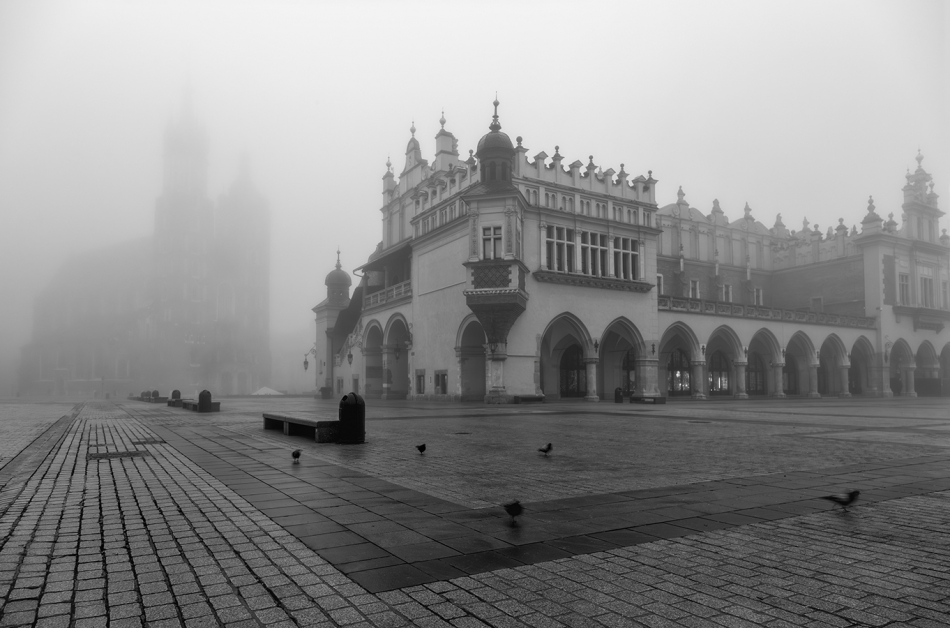 akrims - . . Zdjęcie 315981